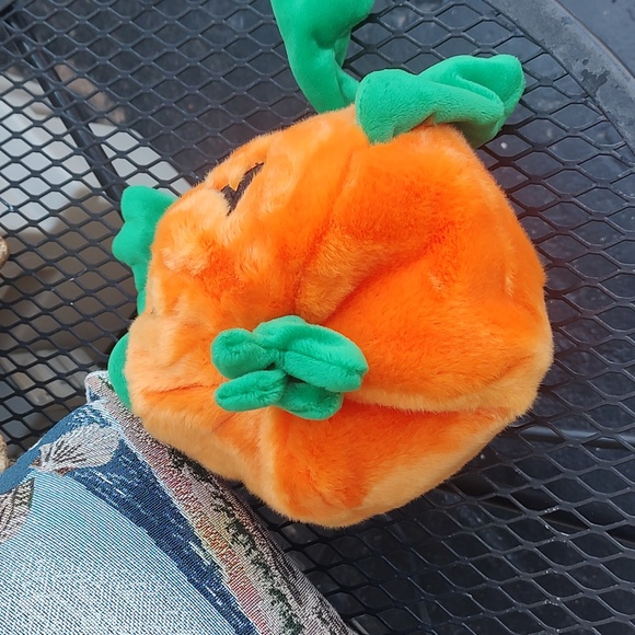 Pumpkin 🎃 Ty - Picture 6 of 10